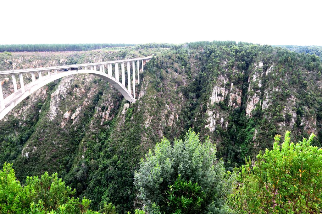 World lagest Bungee Jumping Bridge 2 South Africa