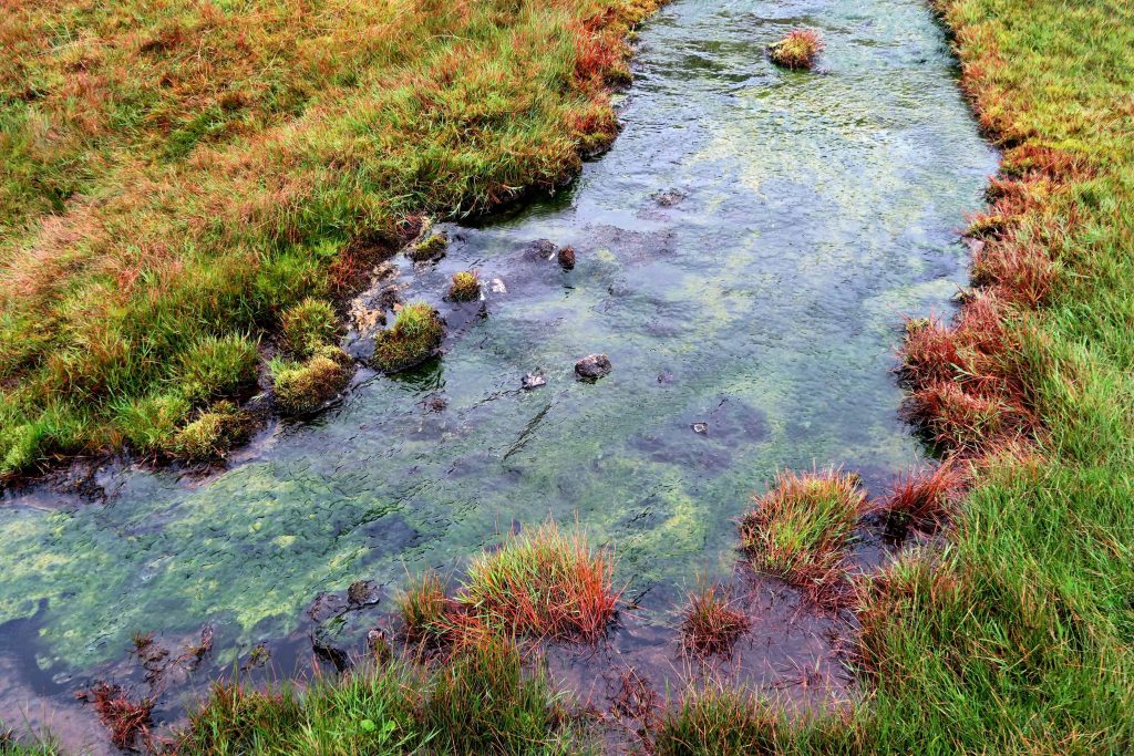 around-reykjavik-reykjadalur-geothermal-heisse-quellen-hot-river-fluss-www-beautybutterflies-de