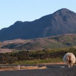 Roadtrip Island – Allgemeine Infos zu 2 Wochen auf der Vulkaninsel